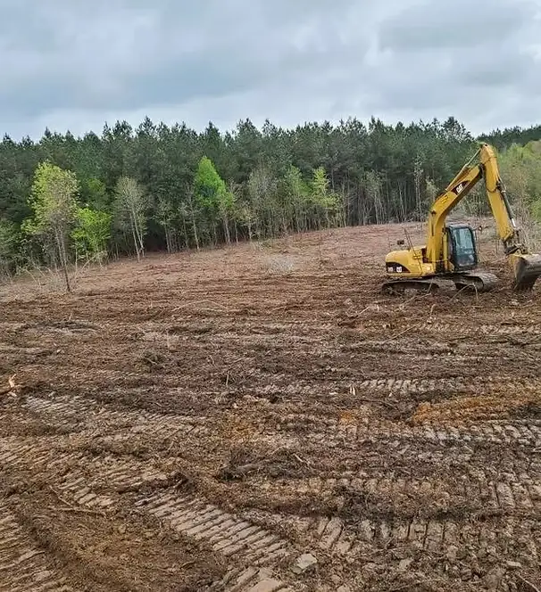 land-clearing-1-image